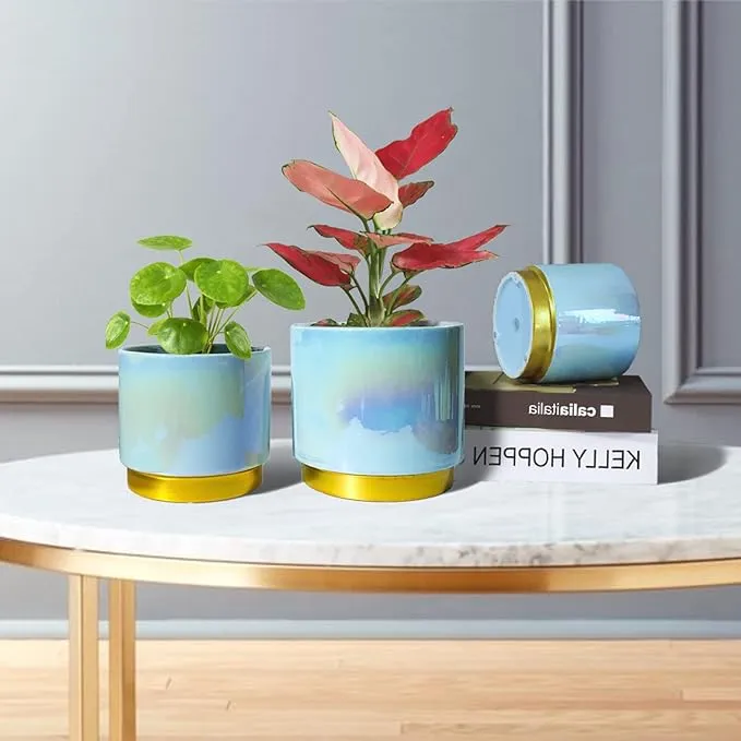 Aurora Planter