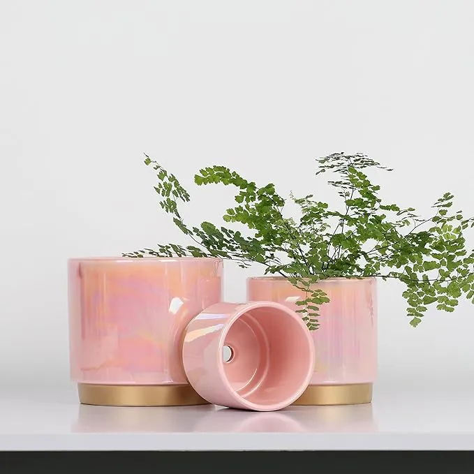 Aurora Planter