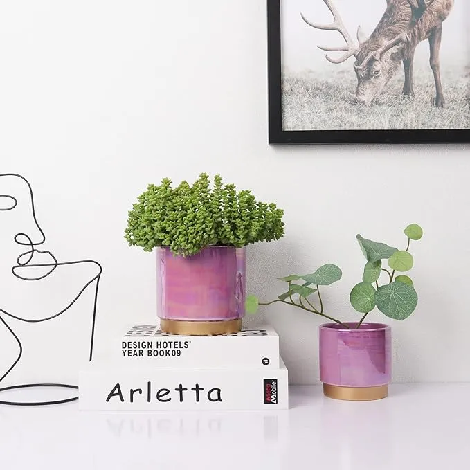 Aurora Planter