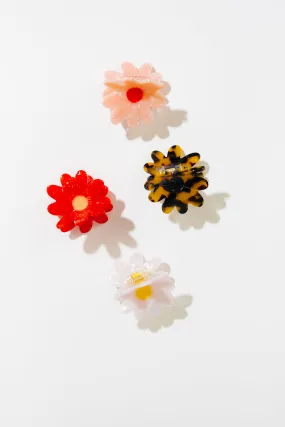 Cove Mini Flower Acetate Claw