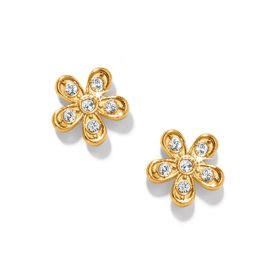 Enchanting Flower Post Earrings