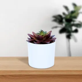 Mini Artificial Plant/Flower in Fiber Pot/Planter